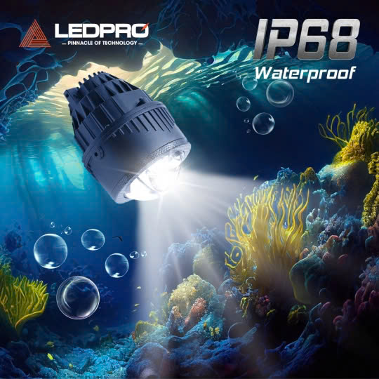 z6437561290819_883e196f319262ce19c7b539e3878fd8