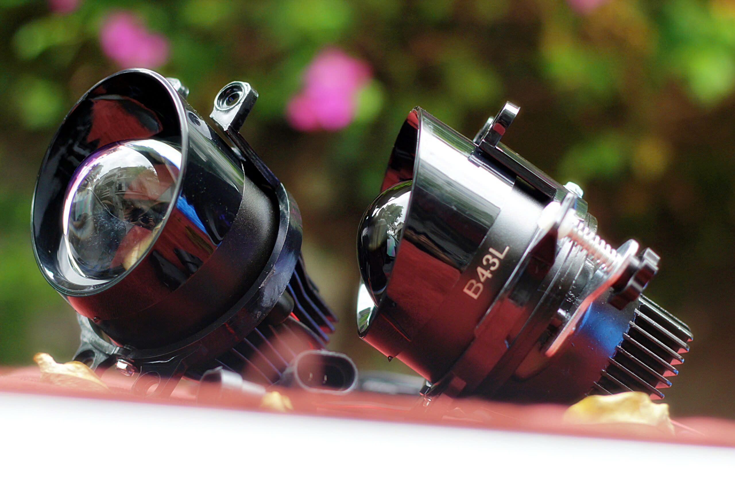 z6443059070666_b179e887cf1ac21405c4ad964b8597bd