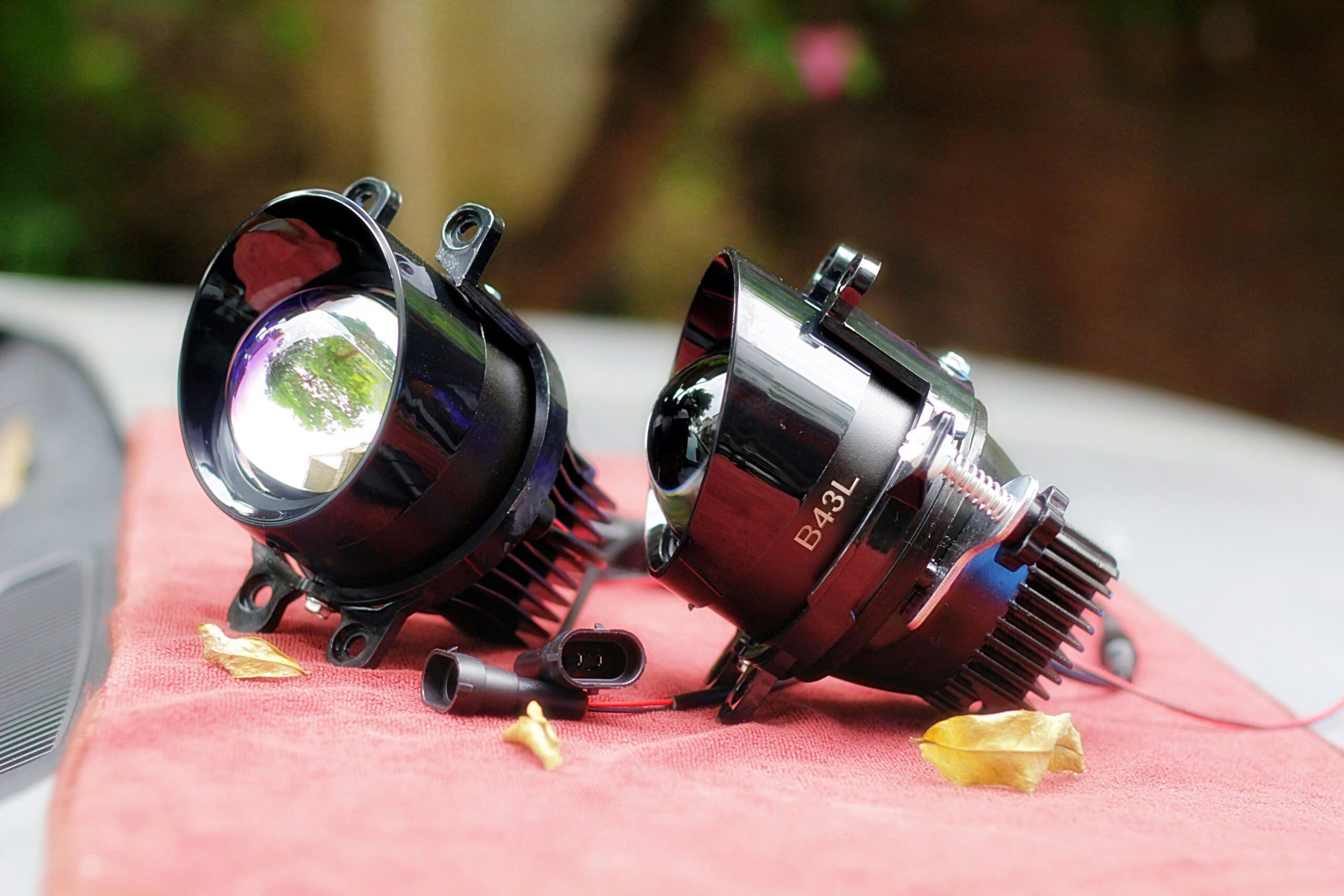 z6443059090201_06615e1a5ead64cb1a86eb2691a2dddb