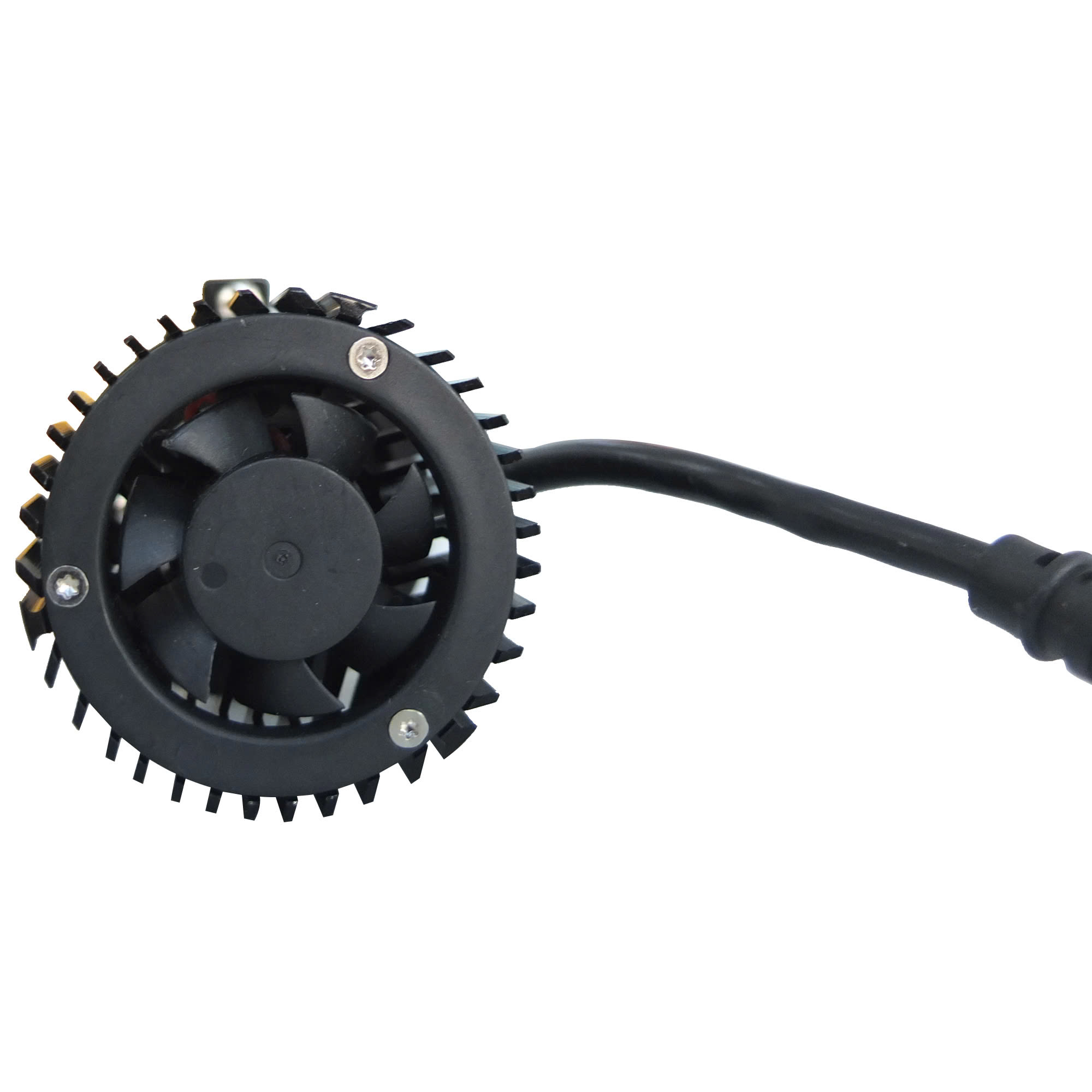 z6447248295489_650921ed70378c8aba51bc2191eb6669